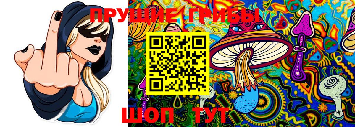 Донской  Галлюциногенные грибы прущие грибы  Вход с VPN 