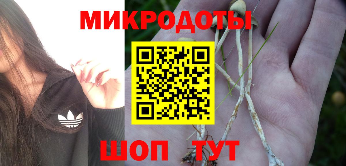Псилоцибиновые грибы MAGIC MUSHROOMS Донской